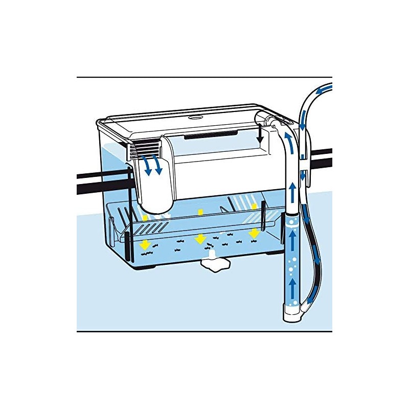 External childbirth room Amtra nursery Breeding...