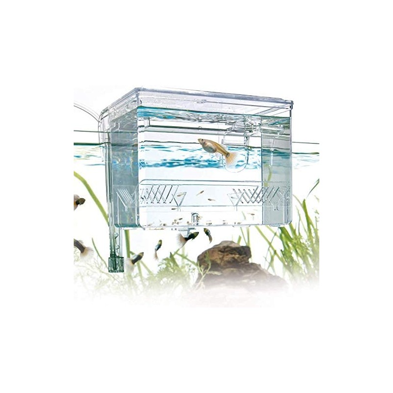 Sac à dos externe Boîte d'élevage AMTRA Nursery...