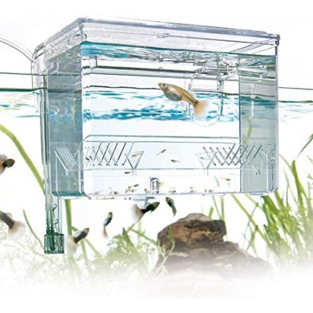 External childbirth room Amtra nursery Breeding Box Hang On