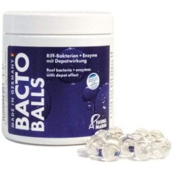 Fauna Marin Bucs Bacto Reef Balls 100ml Bactéries