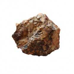 Fossilized Wood Wood Fossil Landscape Rocks