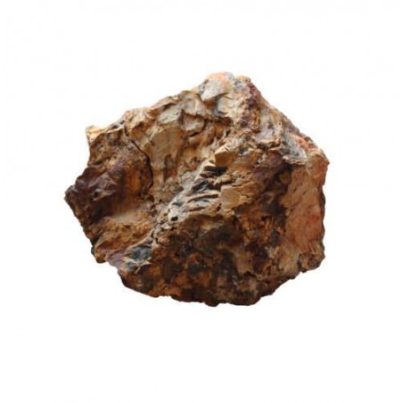 Fossilized Wood Wood Fossil Landscape Rocks