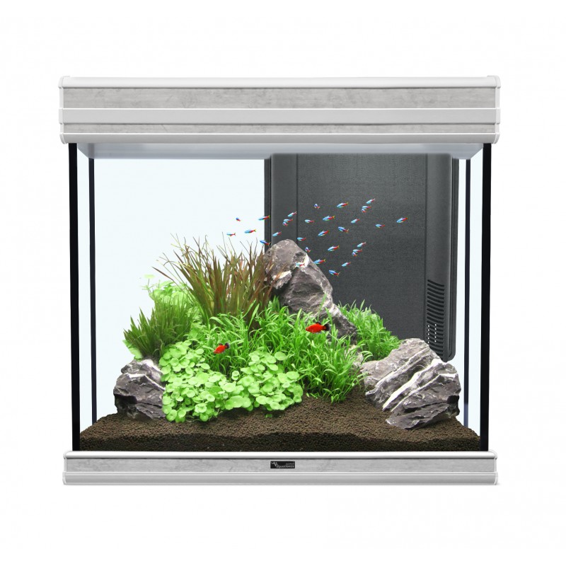 Fusion 60 LED avec support - Aquatlantis