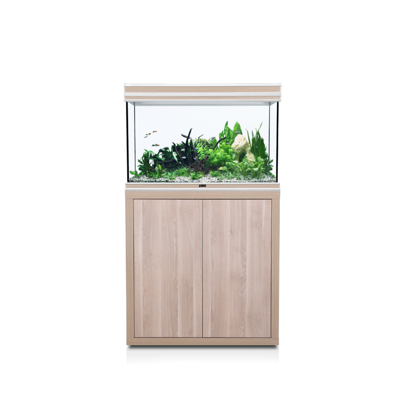 Fusion 80 LED Aquatlantis avec support 137 l