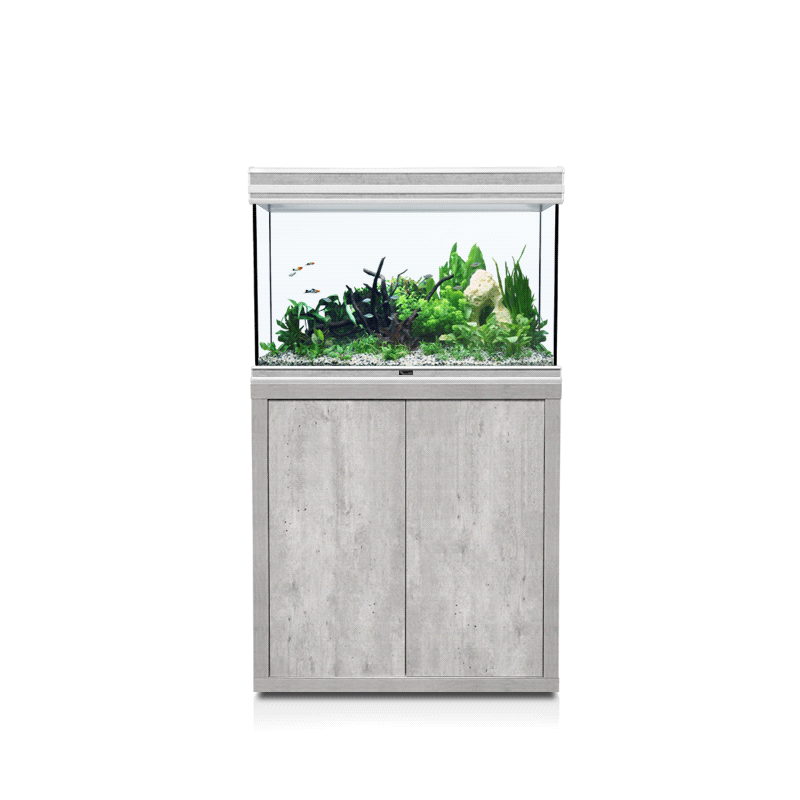 Fusion 80 LED Aquatlantis avec support 137 l