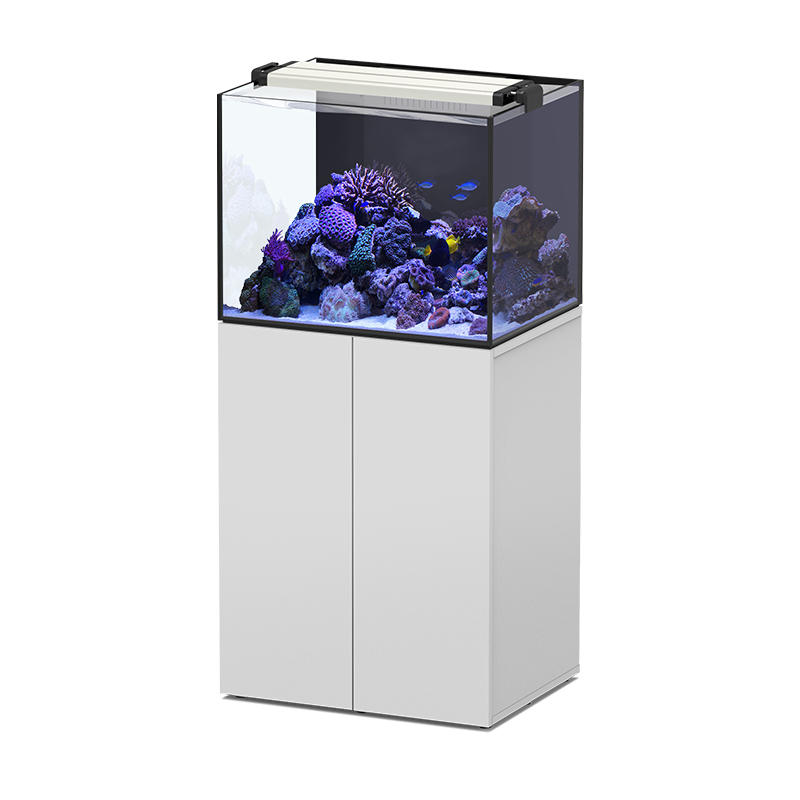 Aquaview 65 SW Marine Aquatlantis - 136 litres...