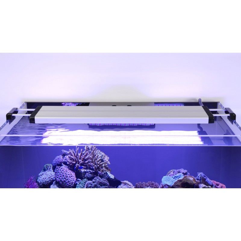 AQUAVIEW 65 SW marine Aquatlantis - 136 liters...