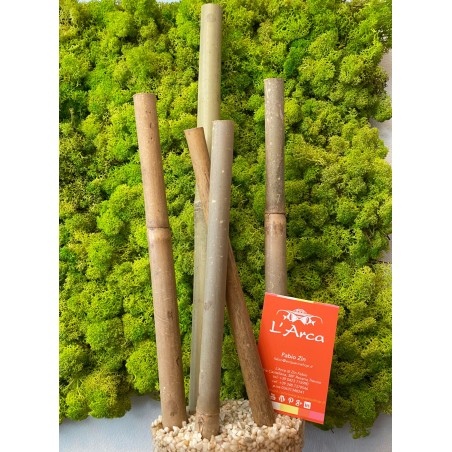 Bambus prestige bamboo 38cm Bambooo