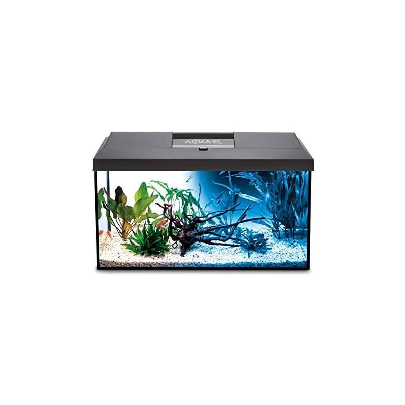 Leddy 60 complete aquarium 54 L