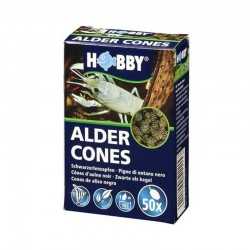 Alder Cones Alder Pigne 50 pcs
