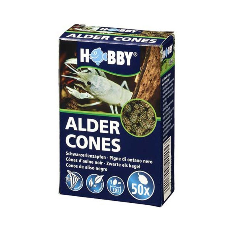 Pigne Ontano Alder Cones 50 pz