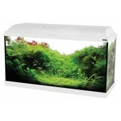 Acquario ISEO 60 nero o bianco