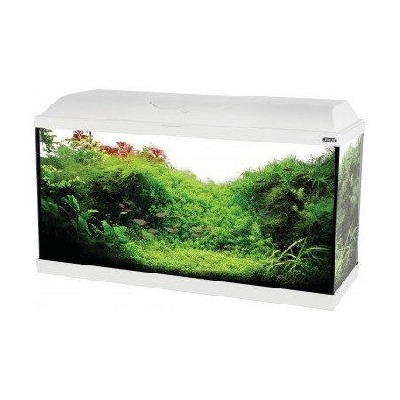 Acquario Rio 125 bianco Juwel con supporto