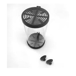 Distributeur de boules de bactéries royales d'or 2