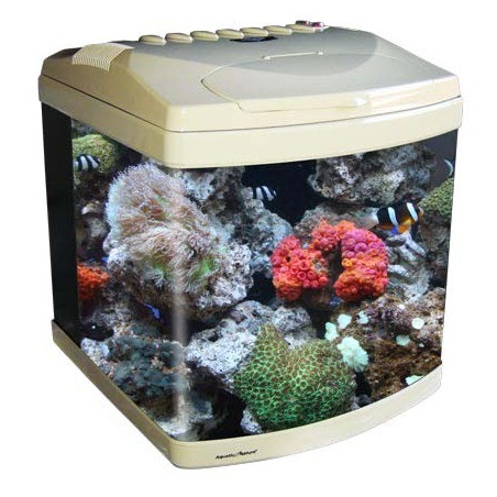 Evolution 1 Aquatic Nature