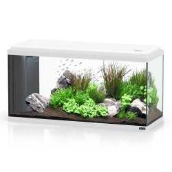 Aqua Bio 80 LED WHITE 80 litres