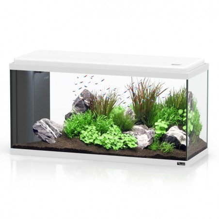 Aqua Bio 80 Led white 80 liters