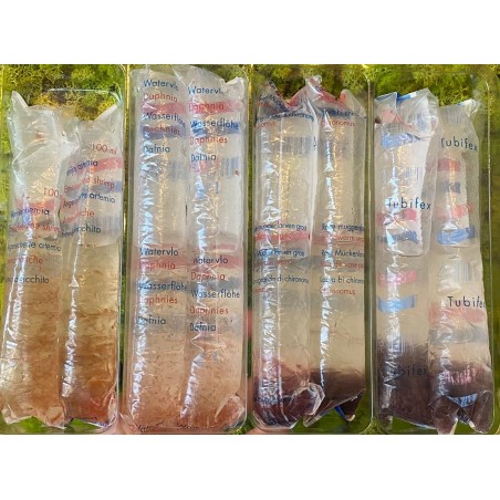 Offerta Mix 8 buste cibo vivo per pesci Live Food