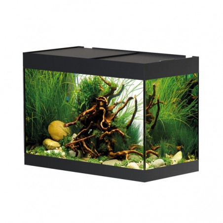Styleline 125 Aquarium Oase 115 L (avec filtre, lumière et chauffant)