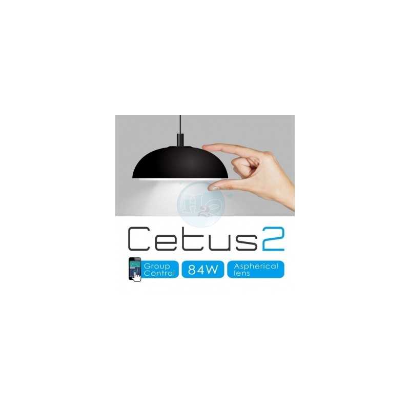 HM Electronics Bracket Cetus Ceiling Leder 2...