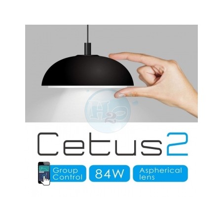 Backet Electronics HM CETUS Plafond Leder 2 84WATT Achat de mer Marina