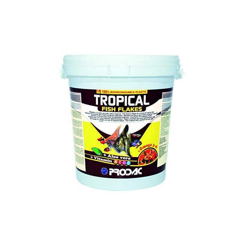 Tropical Fish Flakes Food Base pour tous les...