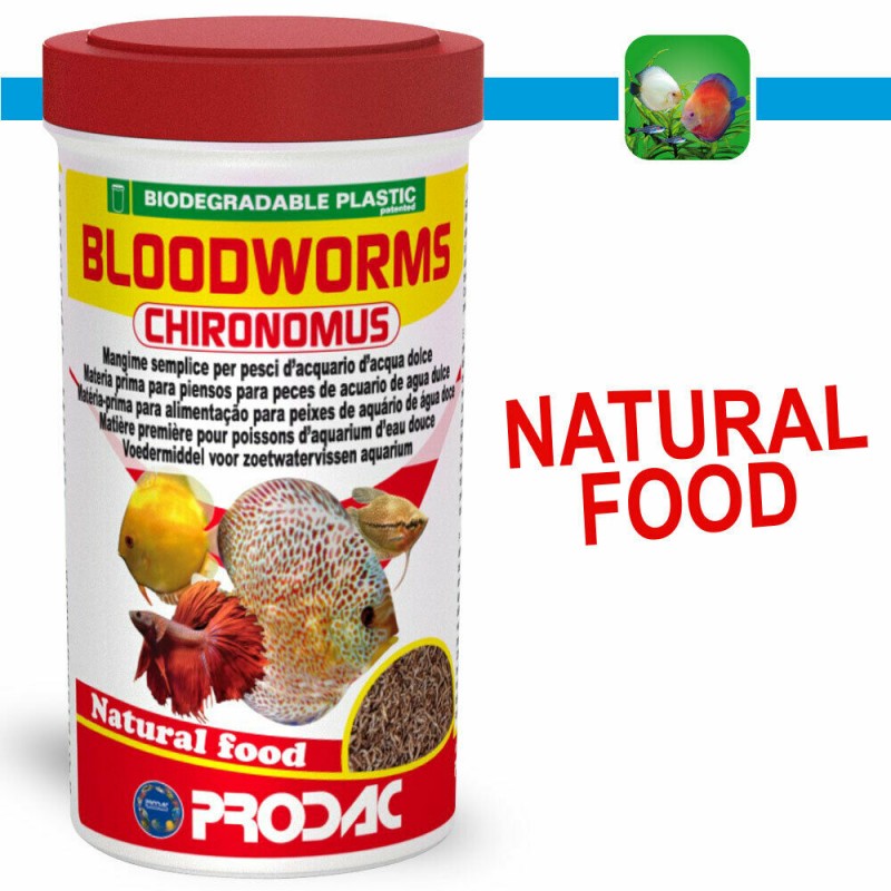Bloodworms CHIRONOMUS red larvae mosquitoes Prodac