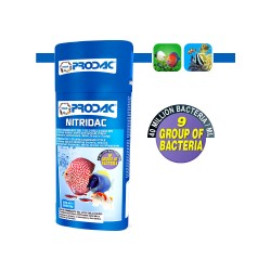 Bactéries Nitridac - Prodac