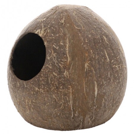 Noce di cocco per pesci Aqua Cave Hobby