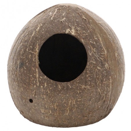 Noce di cocco per pesci Aqua Cave Hobby