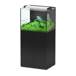 Aquaview 65 fw Aquatlantis - 136 litres avec mobile