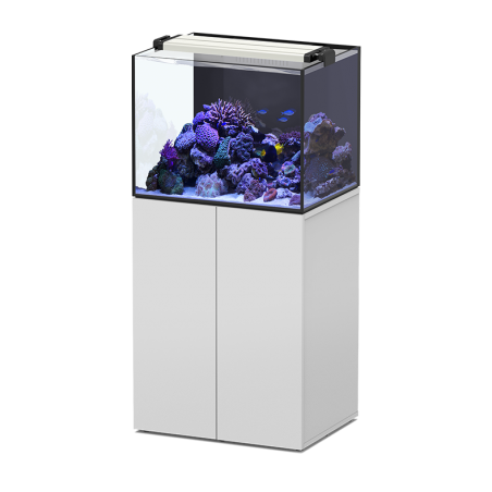 AQUAVIEW 65 SW marine Aquatlantis - 136 liters with mobile