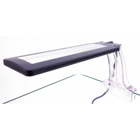 Vega Fresh Amtra with dimmer