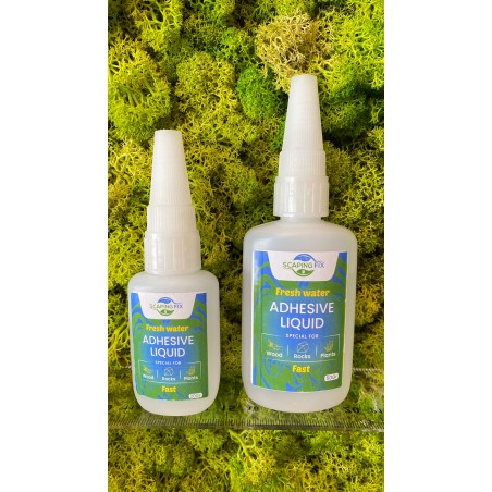 Colle rapide pour plantes d'eau douce