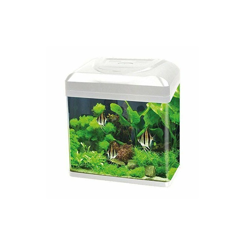 Billy Aquarium 16 Blu Bios LED