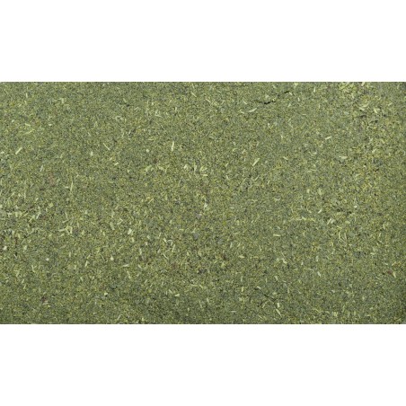 Atyopsis feed for Atya Dennerle 35 gr Shrimp King