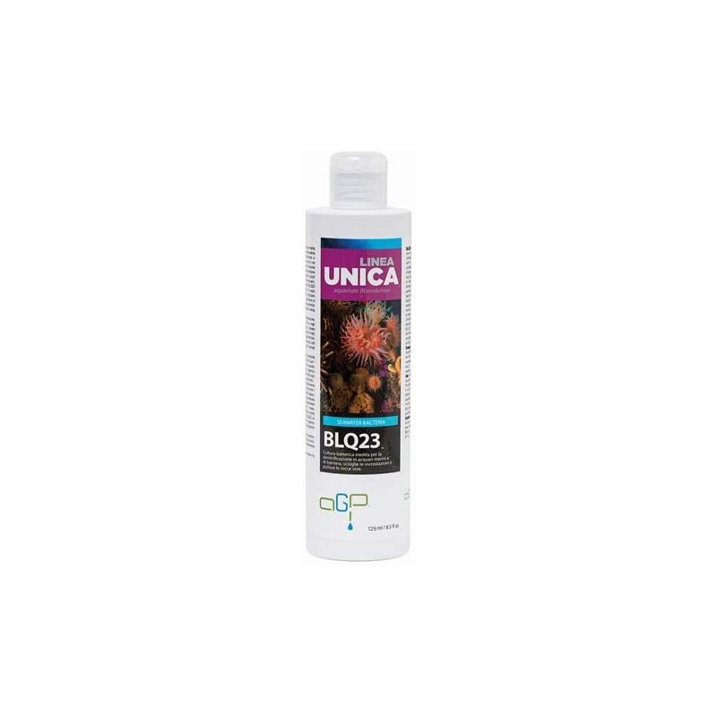 BLQ 23 Ligne unique 250 ml
