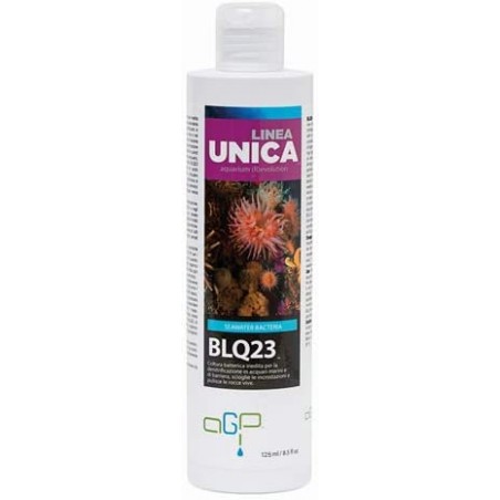 Blq 23 Linea Unica 250 ml