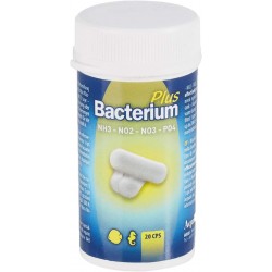 Aquili Bactérie plus et 20 capsules contre NH3, NO2, NO3