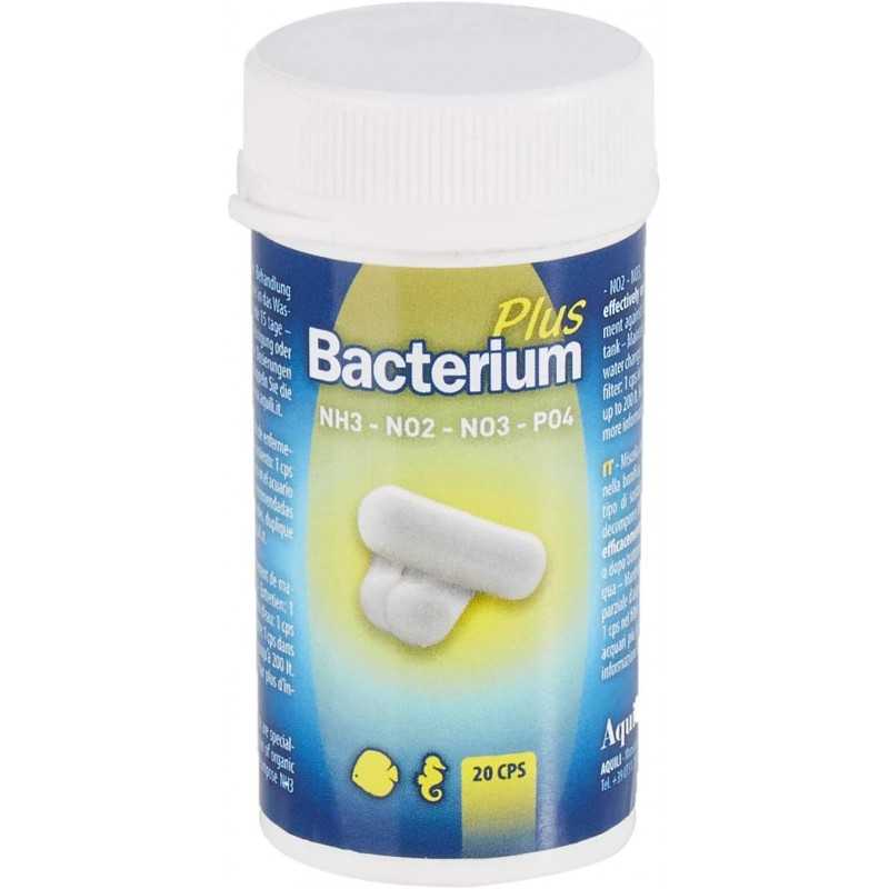 Aquili Bacterium Plus and 20 capsules against...