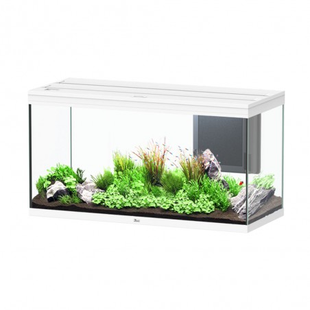 Aquatlantis Volga 180 cm103.5x42,7x50,9H - Aquarium complete with internal filter, LED lighting and heater