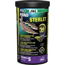 Storioni Sterlet Pro Pond JBL Fish Fish Pond