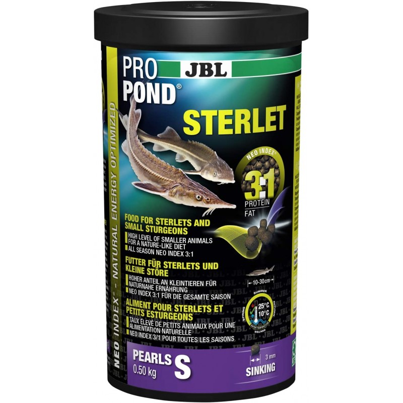 Storioni stérlet Pond JBL JBL Poisson Poisson