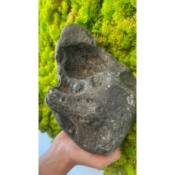 Roccia Hakkai
