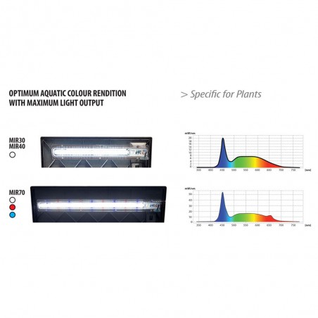 MIRABELLO 70 PLANT, fully equipped glass aquarium - Newa
