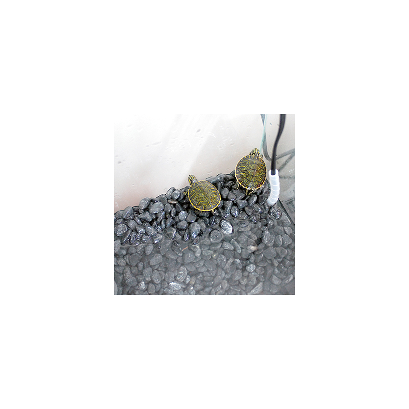 JOLLY PRESET SEA HEATER