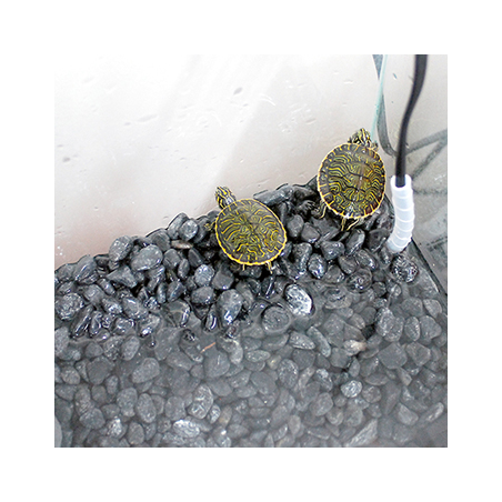 JOLLY PRESET SEA HEATER