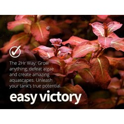 APT 1 Zero - fertilizzante 2HR Aquarist 2