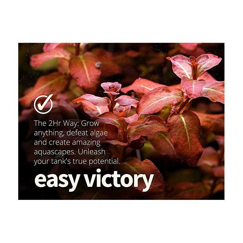 APT 3 Full Nutrition - 2HR Aquarist fertilizer