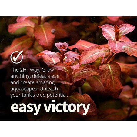 APT 3 Full Nutrition - 2HR Aquarist fertilizer